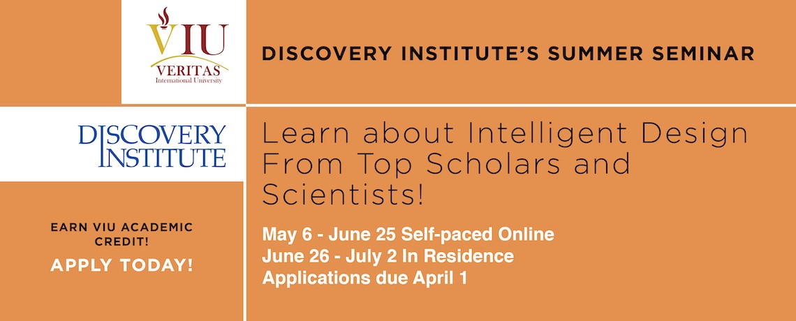 Discovery Institute Summer